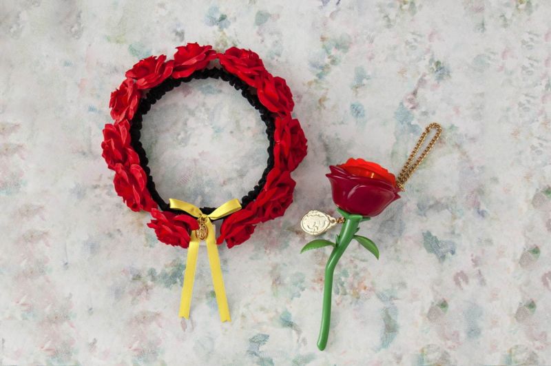 New Fantasy Land Tokyo Disneyland